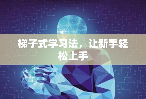 梯子式学习法，让新手轻松上手