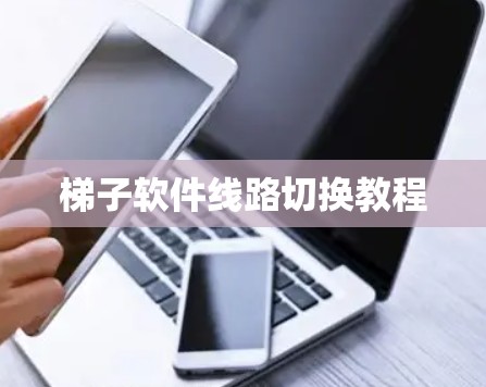梯子软件线路切换教程