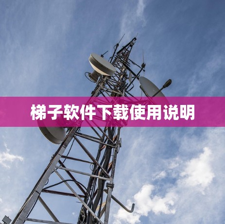 梯子软件下载使用说明