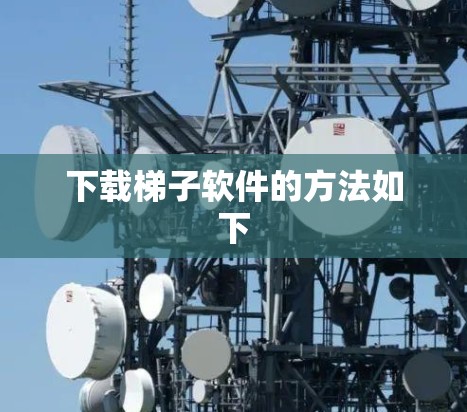 下载梯子软件的方法如下