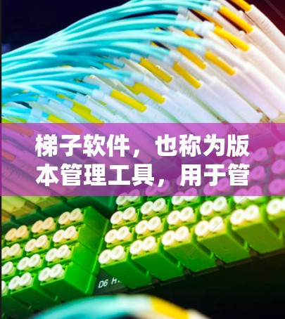 梯子软件，也称为版本管理工具，用于管理软件版本，帮助开发、维护和更新应用。以下是几种常见的梯子软件推荐，涵盖不同的使用场景和特点