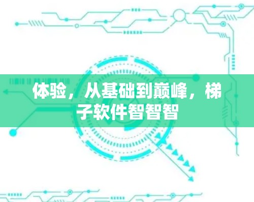 体验，从基础到巅峰，梯子软件智智智