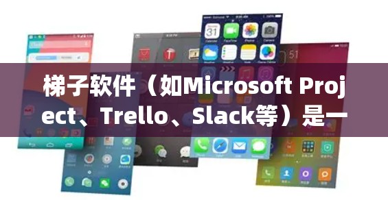 梯子软件（如Microsoft Project、Trello、Slack等）是一个常用的项目管理工具，其使用攻略可以从以下几个方面入手