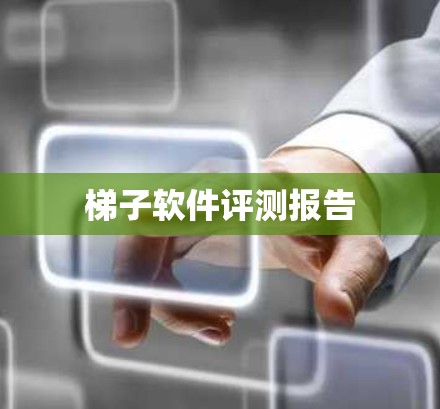 梯子软件评测报告