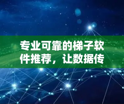 专业可靠的梯子软件推荐，让数据传输更高效！