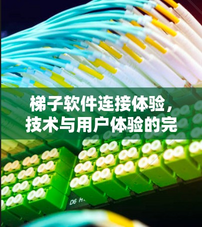 梯子软件连接体验，技术与用户体验的完美融合