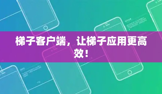 梯子客户端，让梯子应用更高效！