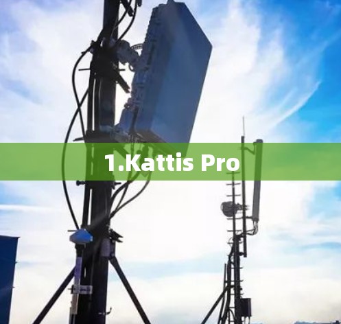 1.Kattis Pro