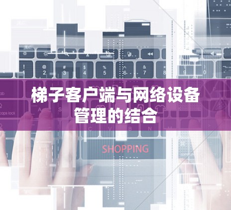 梯子客户端与网络设备管理的结合