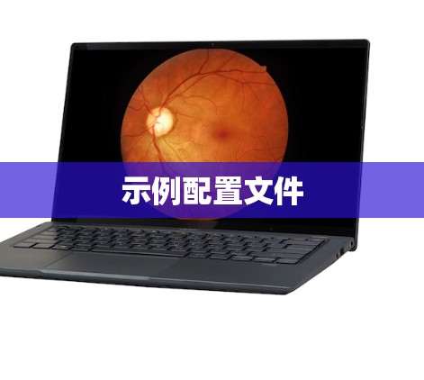 示例配置文件