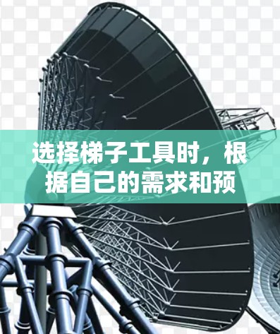 选择梯子工具时，根据自己的需求和预算进行综合考虑。以下是详细的建议