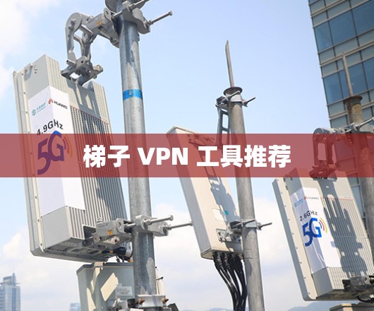 梯子 VPN 工具推荐