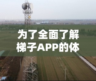 为了全面了解梯子APP的体验，可以按照以下步骤进行