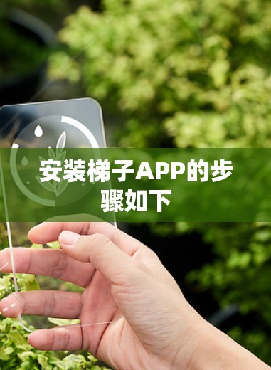 安装梯子APP的步骤如下