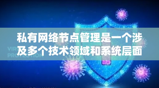 私有网络节点管理是一个涉及多个技术领域和系统层面的复杂问题，涉及选择、实施和维护。以下是对私有化网络节点管理的详细总结