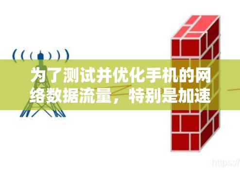 为了测试并优化手机的网络数据流量，特别是加速器的使用情况，可以按照以下步骤进行