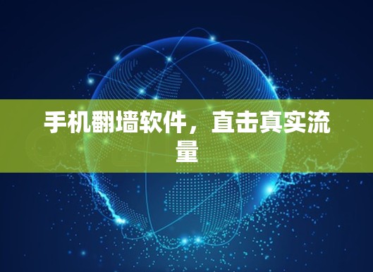 手机翻墙软件，直击真实流量