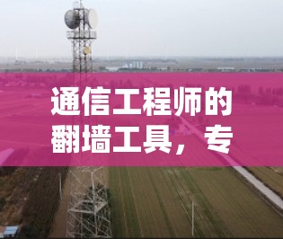 通信工程师的翻墙工具，专业版下载与使用指南