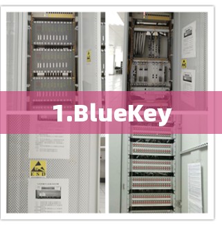 1.BlueKey