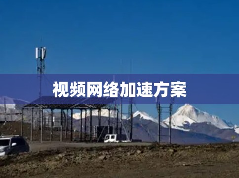 视频网络加速方案