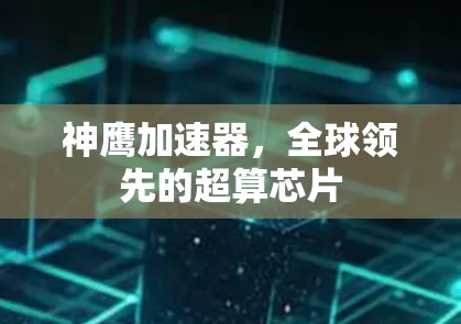 神鹰加速器，全球领先的超算芯片