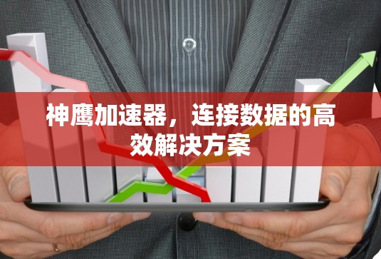 神鹰加速器，连接数据的高效解决方案