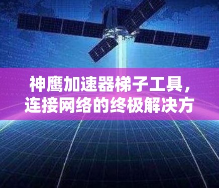 神鹰加速器梯子工具，连接网络的终极解决方案