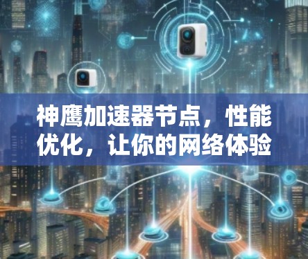 神鹰加速器节点,性能优化,让你的网络体验更上一层楼 神鹰加速器节点,性能优化,让你的网络体验更上一层楼