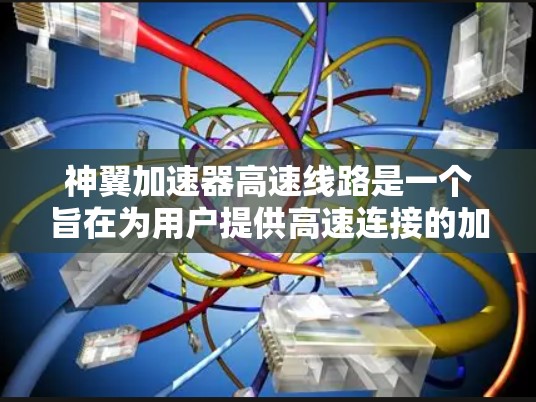 神翼加速器高速线路是一个旨在为用户提供高速连接的加速功能，主要基于神翼游戏引擎。以下是对高速线路的详细描述