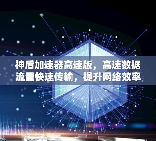 神盾加速器高速版，高速数据流量快速传输，提升网络效率，支持多种网络协议