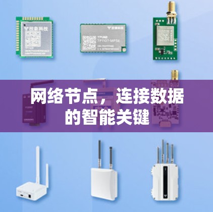 网络节点，连接数据的智能关键