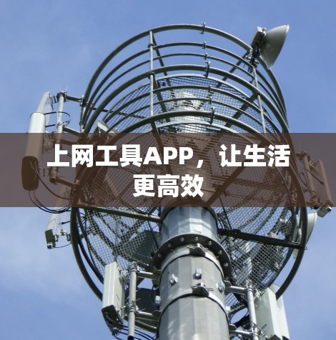 上网工具APP，让生活更高效