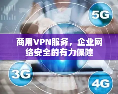 商用VPN服务，企业网络安全的有力保障