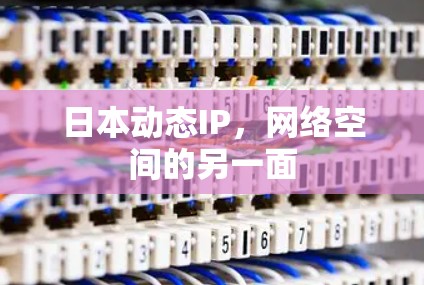 日本动态IP，网络空间的另一面