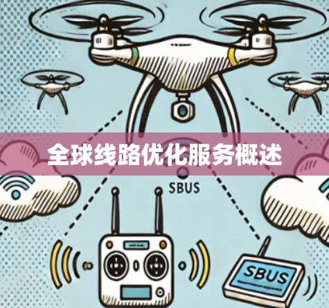 全球线路优化服务概述