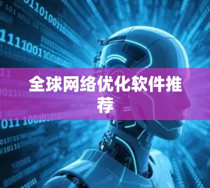 全球网络优化软件推荐