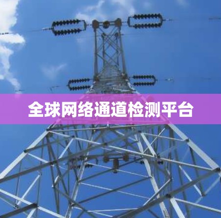 全球网络通道检测平台