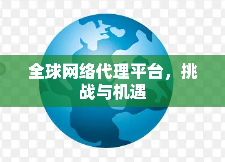 全球网络代理平台，挑战与机遇