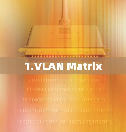 1.VLAN Matrix