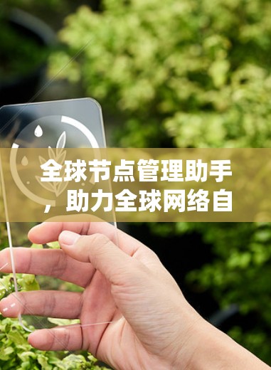 全球节点管理助手，助力全球网络自治