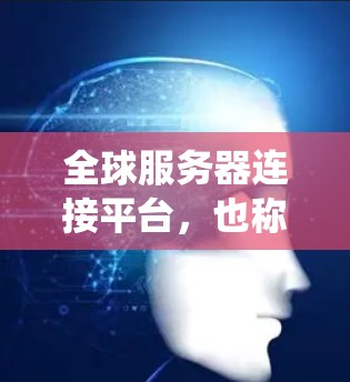 全球服务器连接平台，也称为全球网关平台，旨在允许用户通过一个统一的入口访问不同地区的服务器。以下是该平台的关键功能和特点