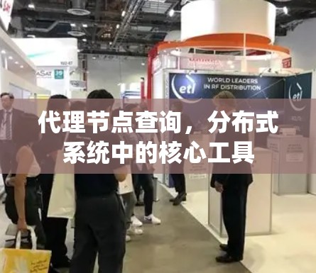 代理节点查询,分布式系统中的核心工具 代理节点查询,分布式系统中的核心工具