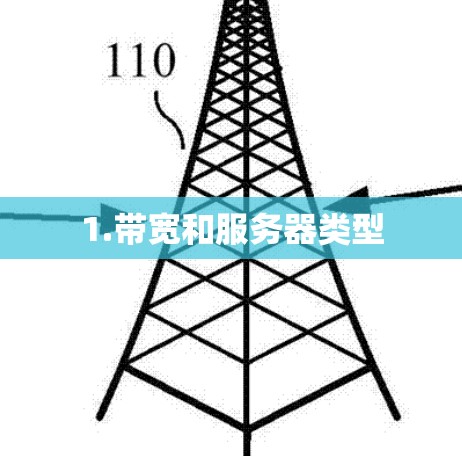 1.带宽和服务器类型