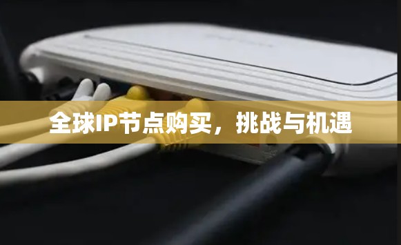 全球IP节点购买，挑战与机遇