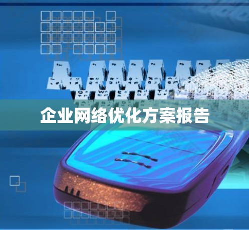 企业网络优化方案报告