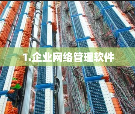 1.企业网络管理软件
