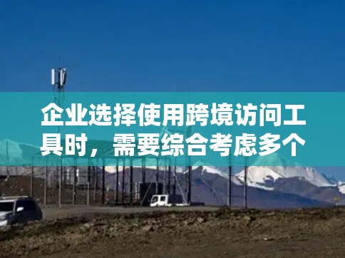 企业选择使用跨境访问工具时，需要综合考虑多个因素以实现高效、安全和合规的业务拓展。以下是对这一过程的详细分析和总结