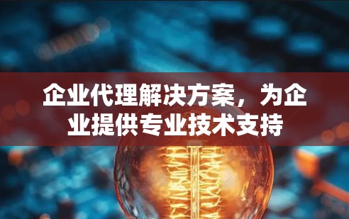 企业代理解决方案，为企业提供专业技术支持