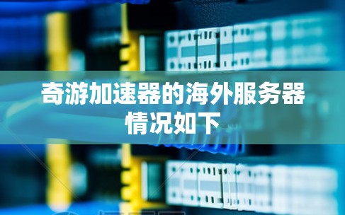 奇游加速器的海外服务器情况如下