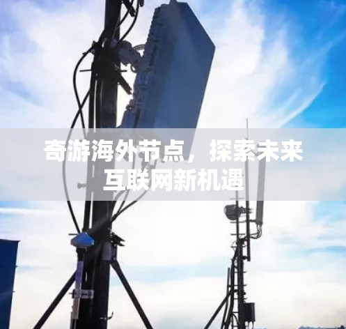 奇游海外节点，探索未来互联网新机遇